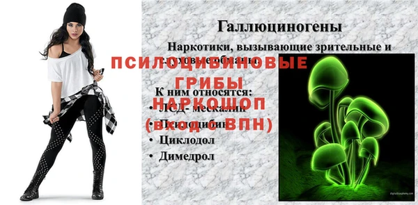 ешки Горняк