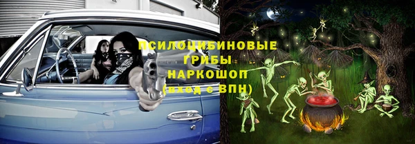 Альфа ПВП Вяземский