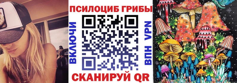 Галлюциногенные грибы Psilocybe  Купить закладки  Североуральск 